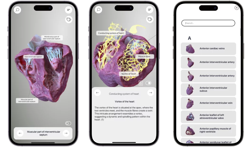 3D Heart Anatomy Screenshot