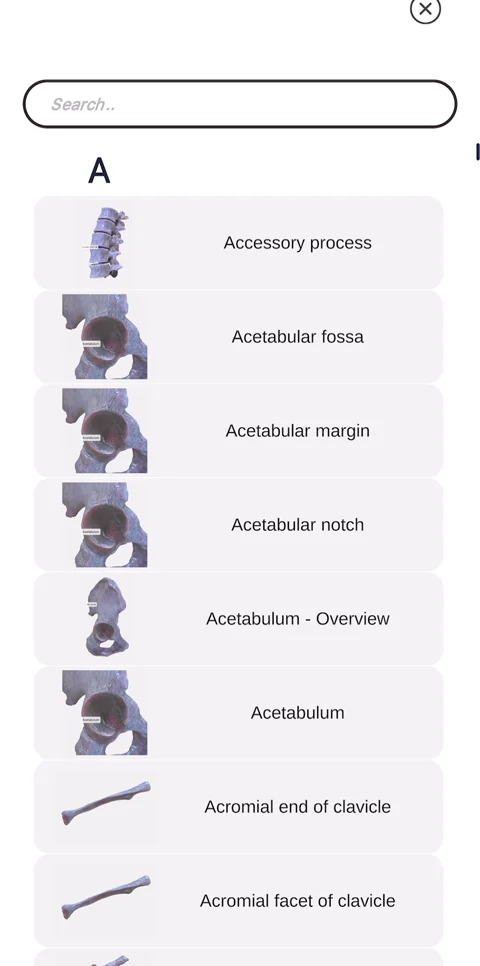 Search index for bone structures