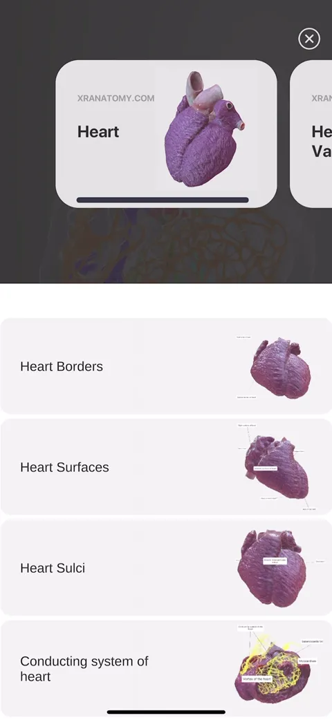 Heart categories menu