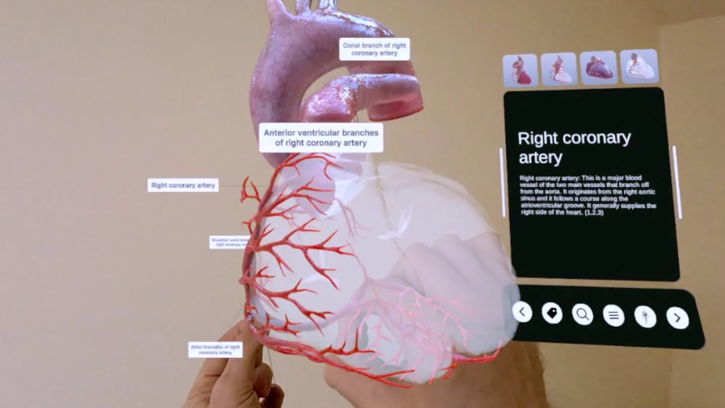 Mixed Reality Anatomy - XR Heart Anatomy