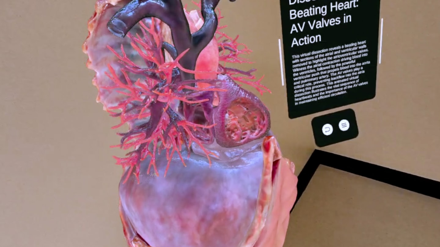 Photorealistic Heart Experience
