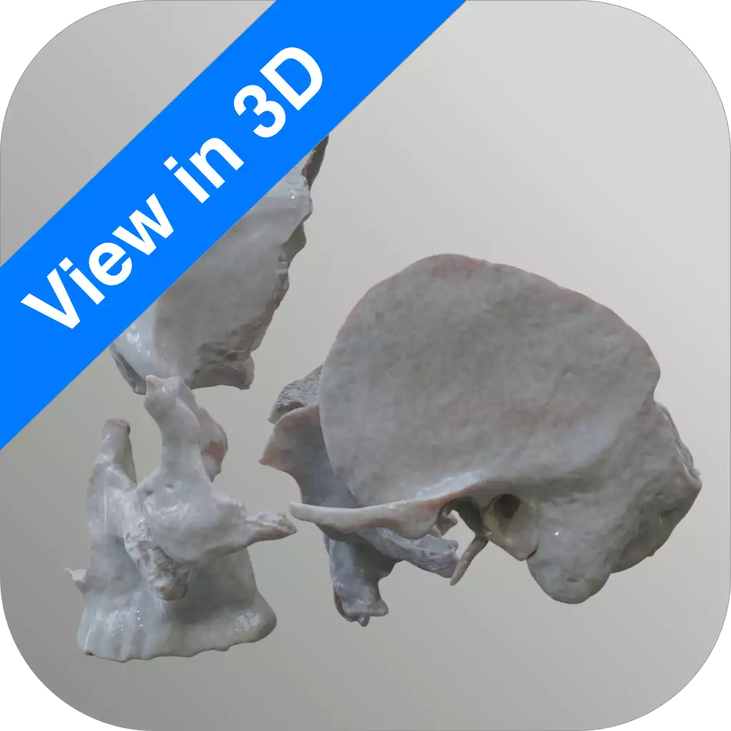 View in 3D App